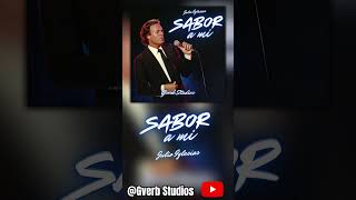 Sabor a Mí  Julio Iglesias con Mariachi [upl. by Nomled118]