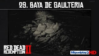 Localización Baya de Gaulteria  29Compendio Plantas  Red dead redemption 2 [upl. by Louls]