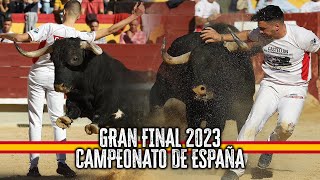 🇪🇸🏆 GRAN FINAL CAMPEONATO DE ESPAÑA RECORTADORES CON TOROS 2023 · CASTELLÓN [upl. by Dnaltiak]