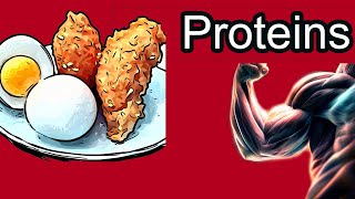 Proteins Explained Which foods contain all essential amino acids [upl. by Osicran]