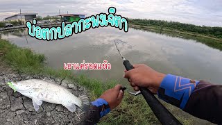 บ่อตกปลากะพงเจ๊ตา เอาแค่รอดแห้วก็พอ ตกปลา fishing โอ๊ตนักล่า ตกปลากะพง กะพงบุฟเฟ่ต์ กัดยับ [upl. by Nemad]