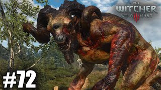 Fighting Howltart  The Witcher 3 Wild Hunt  Gameplay Part 72 [upl. by Enelyw583]