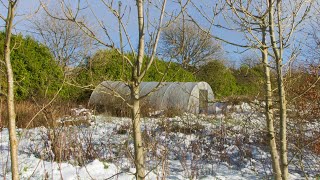 Persephone Period amp Hoop House Seed Starting [upl. by Selokcin206]