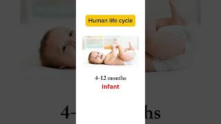 Human Life Cycle  English Vocabulary shorts short shortvideo viralvideo viralshort [upl. by Narib898]