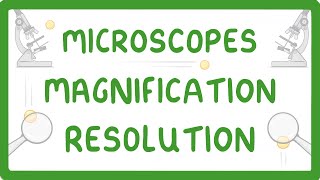 GCSE Biology  What is Microscopy 5 [upl. by Liagibba242]