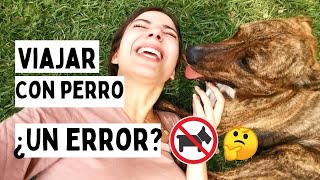 👆Te CUENTO TODO acerca de VIAJAR CON PERRO🐶 ¿Qué necesitas ¿Documentos ¿Avión Lo bueno y LO MALO [upl. by Clemmy]