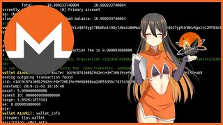 monero cli tutorial [upl. by Hubble]