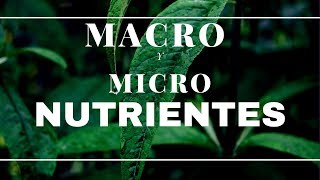 MACRO Y MICRONUTRIENTES PARA NUESTRAS PLANTAS NPK [upl. by Blasius508]