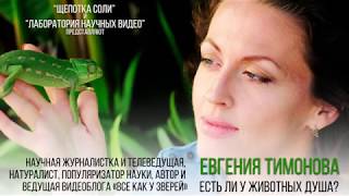 Евгения Тимонова Есть ли у животных душа Декабрь 2017 [upl. by Egrog892]