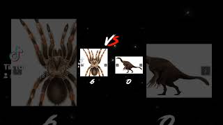 Mexican Red Knee Tarantula vs Therizinosaurus [upl. by Ciredec812]