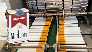 How Are Cigarettes Made [upl. by Dirtsa]