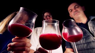 Preview WineMasters France Beaujolais S5E2 [upl. by Charbonnier]