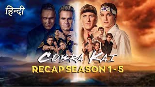 COBRA KAI Season 15 Recap in Hindi  Must Watch Before Season 6  Series Hindi Explained  FIZZPLUS [upl. by Aivax]