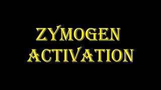 ZYMOGEN ACTIVATION EXCELLENT SIMPLIFIED [upl. by Fernandina636]