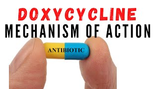 Doxycycline uses against acne and chlamydia  Mechanism of action [upl. by Aralomo]