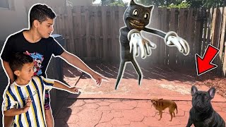 CREEPY CARTOON CAT TOOK OUR DOGS [upl. by Styles229]