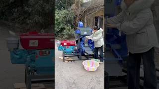 5in1 commercial rice mill with 22hp Diesel enginecapacity600kghour [upl. by Premer]