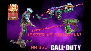 JESTER codM 30 BR SOLO VS SQUADS [upl. by Birkner]