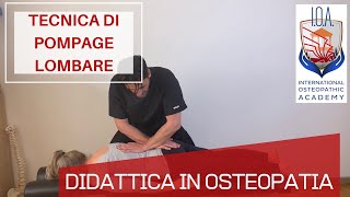 STRETCHING  Esercizi per la schiena Tutorial 13 Migliora lelasticità della colonna vertebrale [upl. by Trawets]