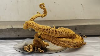 Making the Pharaohs Serpent [upl. by Mulloy]