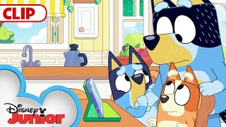 Bluey Season 3 Episode 24 quotFaceytalkquot Episode Clip  disneyjr  BlueyOfficialChannel​ [upl. by Remington]