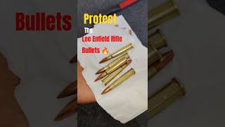 Protect The Lee Enfield Rifle Bullets 🔥SKS Bullets And 9mm Bullets [upl. by Nylecyoj58]