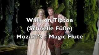 Magic Flute  Walk on Tiptoe Schnelle fuesse [upl. by Lydie]