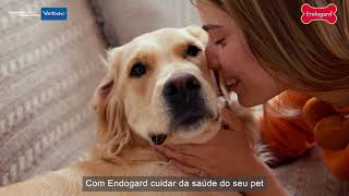 Endogard® o vermífugo COMPLETO para cães [upl. by Ettevram]