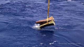 How a rostrum works on an ancient Roman Navy vessel [upl. by Luar]