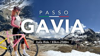 자전거로 알프스 산을 올라갔어요 이탈리아 여행 Day1 가비아 Passo Gavia [upl. by Annovoj637]