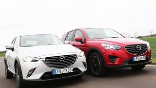 Mazda CX5 vs Mazda CX3 [upl. by Kernan690]