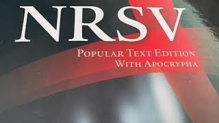 Sirach or Ecclesiasticus NRSV Bible Chapter 20 Apocryphal Audiobook [upl. by Rhody]