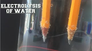 Electrolysis Science Experiment of Water and Salt  Easy Science Fair Project for Students [upl. by Maxia]