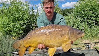 catching carp with fresh PEELER CRAB yes crabs as bait for carp must watch carp fishing UK [upl. by Nnaeiluj]