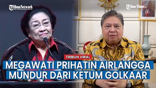 Respons Airlangga Mundur dari Ketum Golkar Megawati Khawatirkan Demokrasi ke Depan [upl. by Gaston]