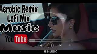 inta Habibiinta Habibi aerobic remix lo fi mix YOU Tube music 2024 DjMehediBangla [upl. by Proudlove]