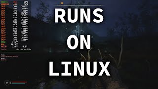 STALKER 2 Heart of Chornobyl Runs on Linux Unreal Engine 5 DLSSFG [upl. by Hurless]