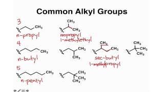 Common Alkyl Groups [upl. by Picardi]