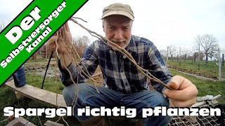 Spargel richtig pflanzen [upl. by Stefanac]