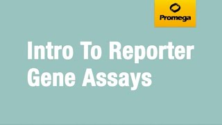 Introduction to Reporter Gene Assays [upl. by Cannell]