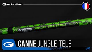 CANNE TRUITE JUNGLE TELE [upl. by Stodder306]