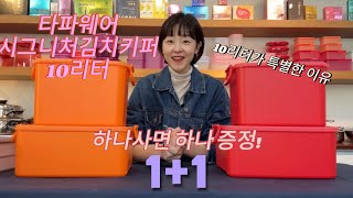 타파웨어 시그니처 김치키퍼 10L가 특별한 이유 11으로 만나보세요 [upl. by Arihsat]