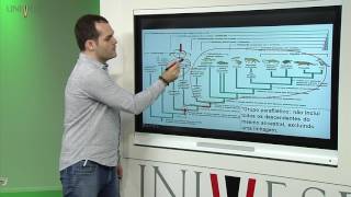 Zoologia dos Vertebrados – Aula 03 – Princípios de taxonomia e filogenia dos animais [upl. by Skees]