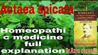 homoeopathy Actaea spicata homeopathic medicine full explanationboerick materia medica [upl. by Ontine]