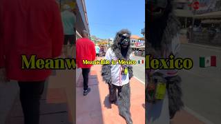 Ensenada Mexico weird sightings mexico travelvlog shorts [upl. by Odlonra158]