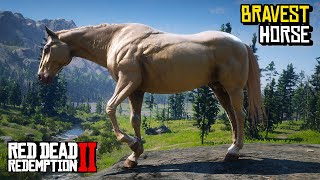 Red Dead Redemption 2  FULL LIST OF ALL CHEAT CODES How to Enter amp Use Them [upl. by Gregorio]