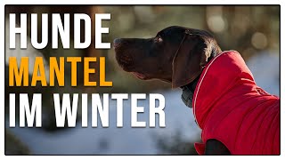 Mantel im Winter  Brauchen Hunde das  TGH 97 [upl. by Hnah]