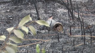 Croatan National Forest Fire about 30 contained [upl. by Akeme727]