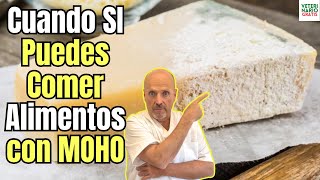 🚨 ¿CUANDO SI Y CUANDO NO SE PUEDEN COMER ALIMENTOS CON MOHO 🚨 [upl. by Jordain418]