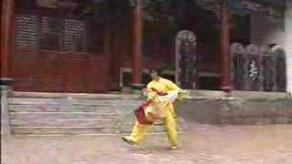 Chen Taijiquan Double Broadsword [upl. by Landrum]